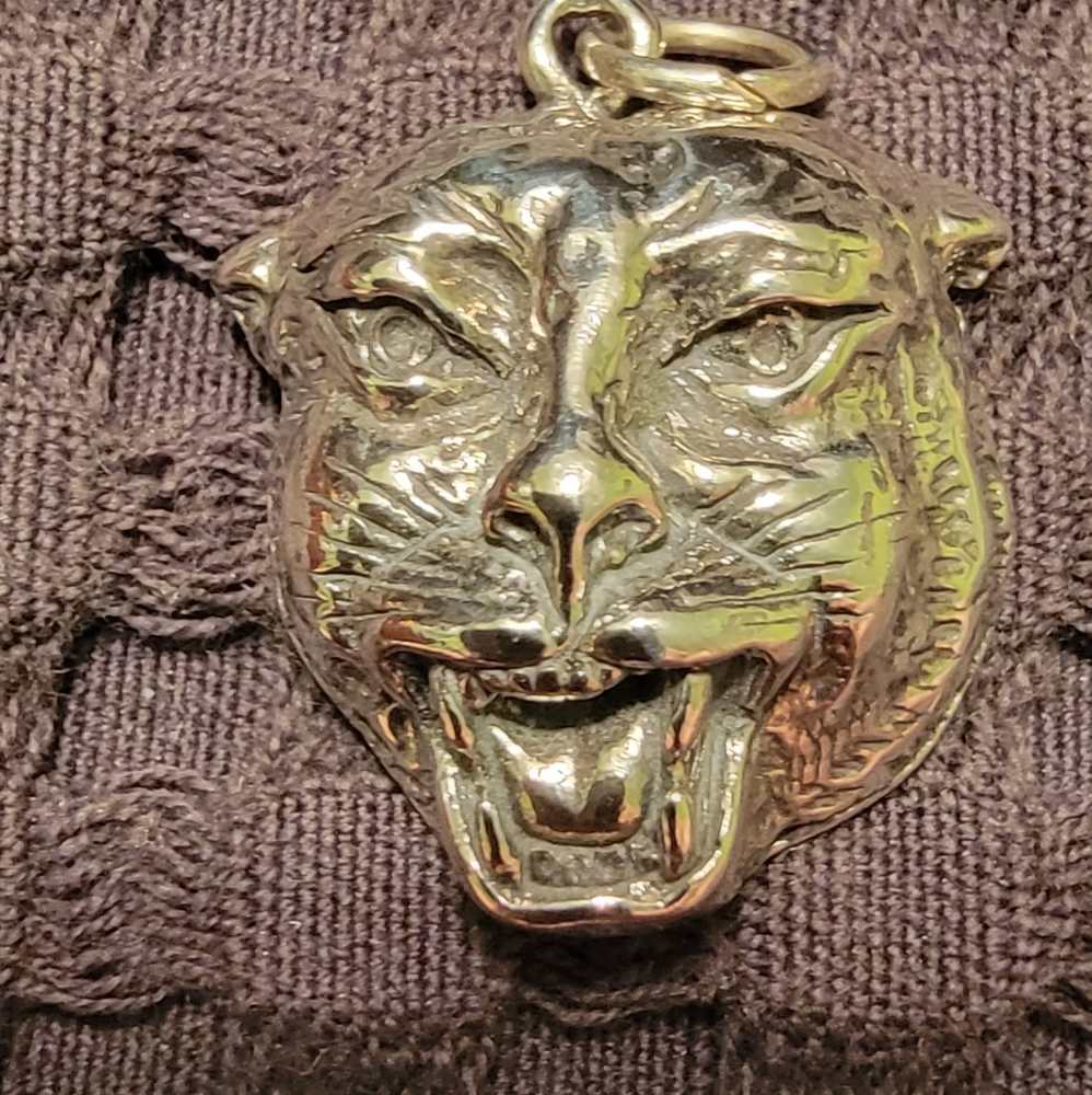 Tiger Amulet 🐅 Charm